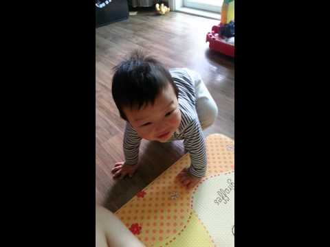 강쭈 잼잼놀이