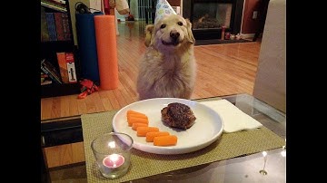 Pie Occult: Claim Victory Response [L9] #CV3