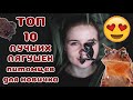 Топ 10 лягушек для начинающих амфибийщиков!