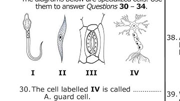 2024 BECE Integrated Science Trial Questions and Answers