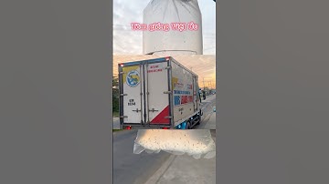 Tôm giống Việt Úc