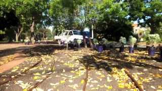 My Front yard complete landscape makeover!