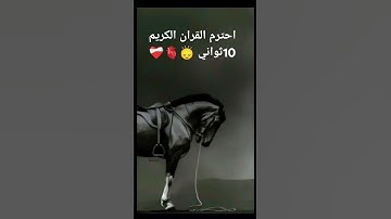 احترم القران الكريم 10ثواني 🙂‍↕️🫀❤️‍🩹🥱