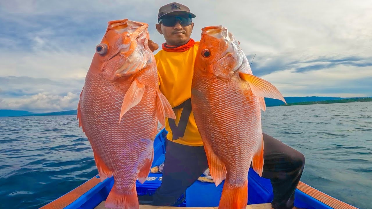 LIGT JIGGING IKAN MAHAL DI KEDALAMAN 85 METER 
