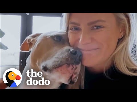 Video: Redding Pittie leert jongen met autisme Hoe hij zijn moeder voor de eerste keer knuffelt en kust