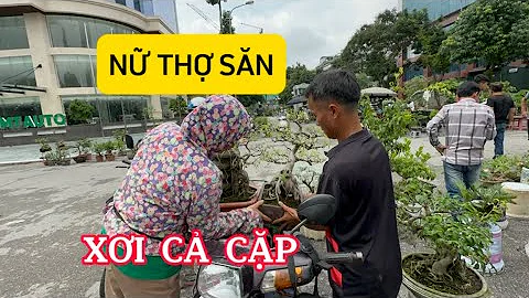THÁNH NỮ LÀM KHUYNH ĐẢO CHỢ VẠN PHÚC - XƠI LUÔN 2 CÂY