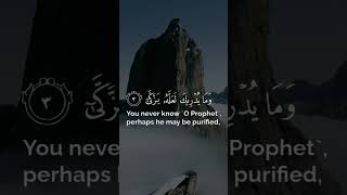 Surah 'Abasa | "He Frowned" | Mishary bin Rashid Alafasy