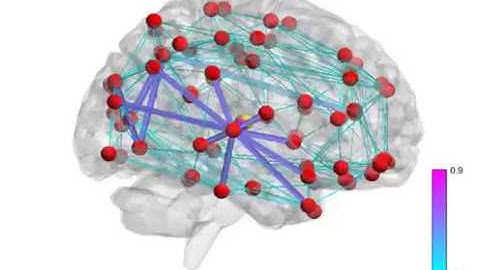 Brain Network Visualization and control