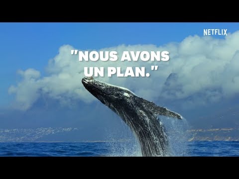 Video Jour de la Terre : Le narrateur de 