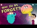 Why Do We Forget? | The Dr. Binocs Show | Best Learning Videos For Kids | Peekaboo Kidz