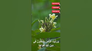 سورة النصر بصوت خاشع يهزّ القلوب | استمع وتأمل روعة الخاتمة 💖📖