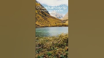 عبد الباسط عبد الصمد سورة الشعراء #قرآن #عبدالباسط_عبدالصمد #سورة_الشعراء #قران_كريم #اكسبلور