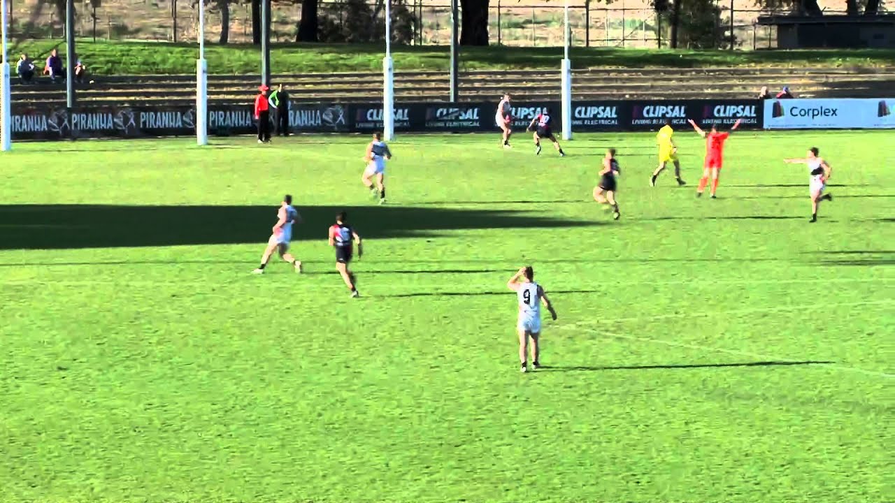 vfl trox VFL Round 17 - Coburg vs North Ballarat Highlights