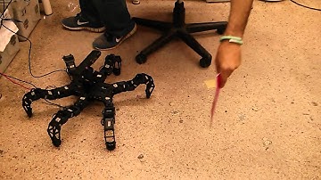 hexapod with ROS and 3D vision following