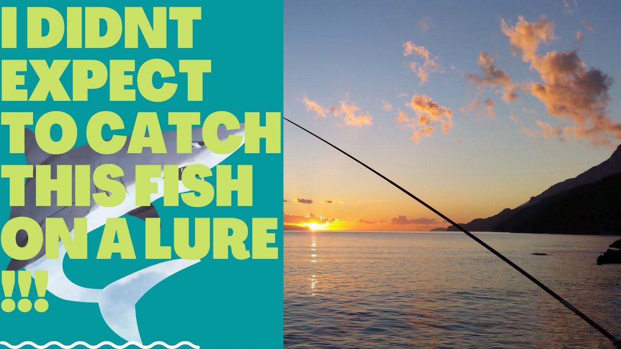 Didn't Expect to catch this fish while lure fishing for Bass ??? - YouTube