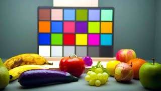 How Our Brains Process Colour | Earth Science