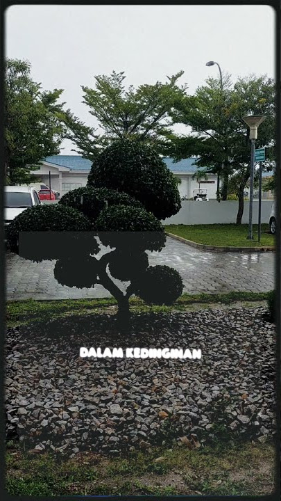 Story wa Hujan semakin deras