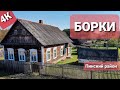 Деревня  моего  детства! Борки , Пинский  район . Весна 2021 #деревня #ВАСЬКАПИЛОТ