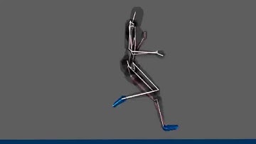 Task 2.1 : Running « Work Plan 2. Biomechanical simulation of humains »