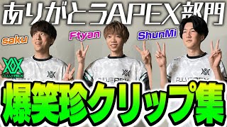 APEX Year3クリップ総集編 【PULVEREX/APEX】