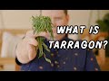 What is Tarragon and What is It Used For? Essential Tips By Chef Paul Reilly | Lanyap Cookery