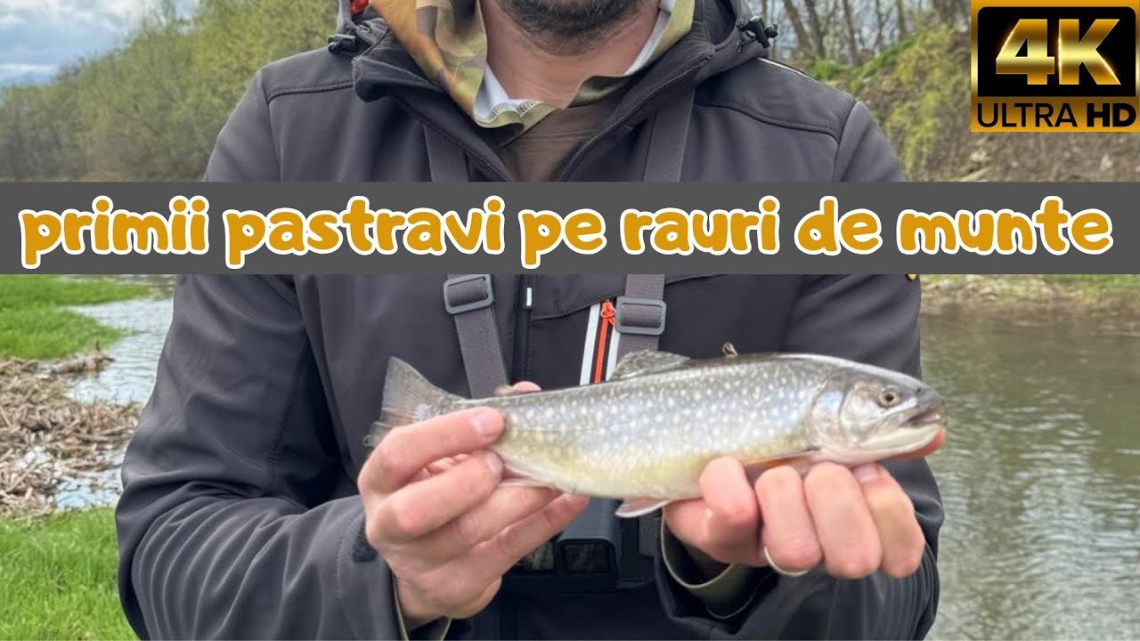 🎣primii PASTRAVI pe rauri de MUNTE ! Am pescuit cu rotative, am reusit ...