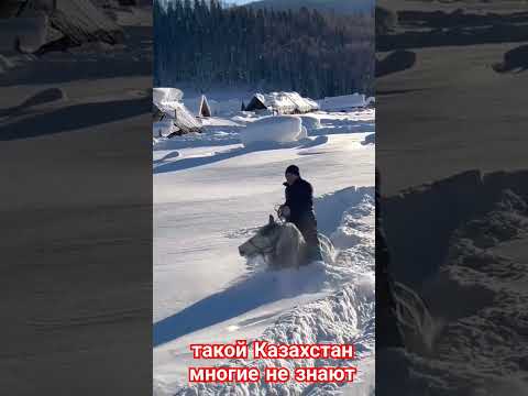 Снежная буря в горах, неизвестный Казахстан #казахстан #астана