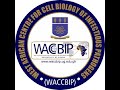 Official WACCBIP Documentary