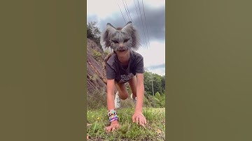 Thumbnail of Hey, hey, hey lover.. #shorts #therian #quadrobics #cat