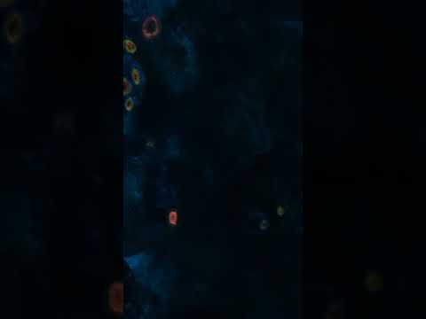 Nano 20 Gallon Polyp Lab Lense. 03/27/2019