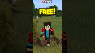 Minecraft Bedrock Edition Mods...