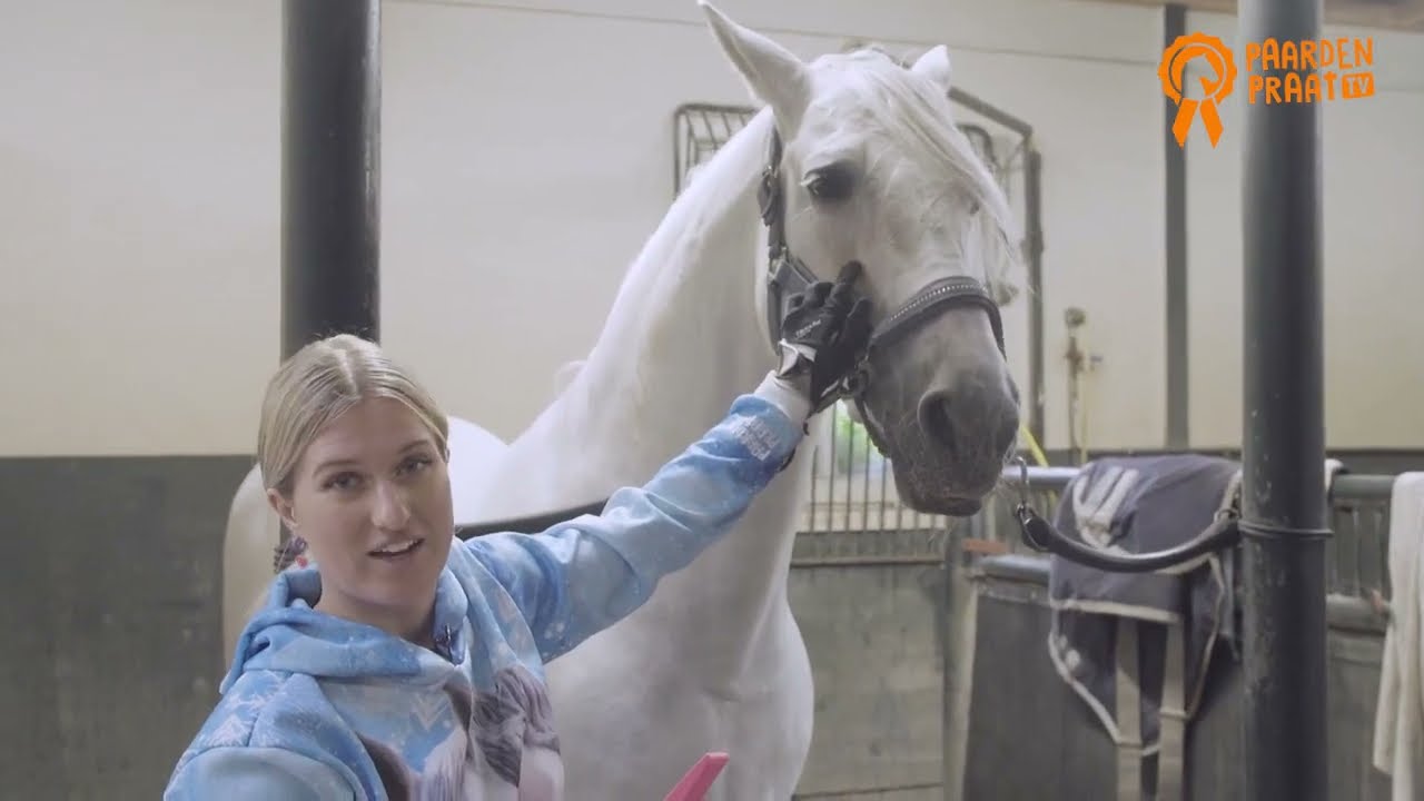 Vind oude paard in Antiek | Gereedschap en Instrumenten op
