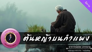 อาจารย์ยอด : ต้นหญ้าบนกำแพง [นิทาน]