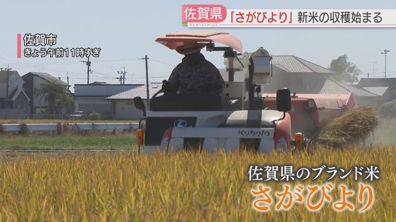 新米】15年連続で最高評価「さがびより」収穫始まる 作付面積は去年