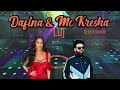Dafina Zeqiri ft Mc Kresha   LUJ Dj Erix Remix
