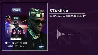 Dj Spinall - Stamina Ft. Ceeza & Cnatty (Audio)