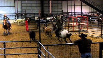 Play With My Cat - sorting practice 2 - Valley View Ranch