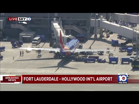 Southwest flight returns safely to FLL after bird strike