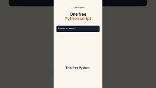 Copying a PDF table into Excel? Do this instead (free Python script) #shorts