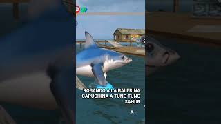 Trolee a Tung tung sahur(Ay un gatito en el video encuentralo)