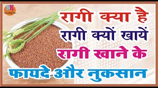 रग कय ह रग खन क फयद और नकसन What Is Ragi Know The Benefits And Side Effects Of Ragi