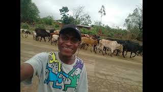 Delebeni Official audio by Sherixtada ick