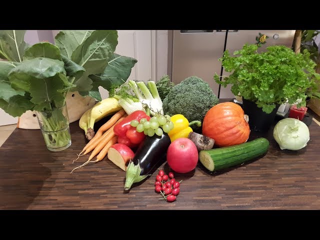 Meerschweinchen Ernhrung Herbst - YouTube