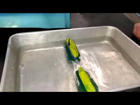 Wave Lab. Reflection and/or Diffraction