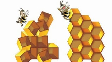 Hexagonal Honeycomb Cells
