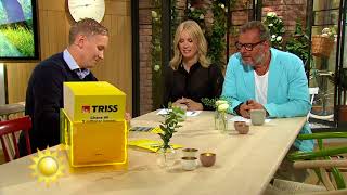 Trissvinnarens Glädje Många Barn I Kulisserna - Nyhetsmorgon Tv4
