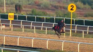 KESKİNTAY 400 METRE DERECE 26 80 RAHAT   10 10 2022 PAZARTESİ