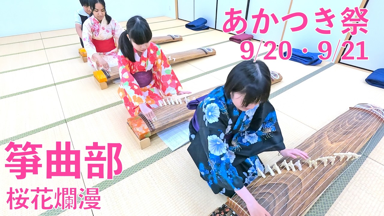 春爛漫です。琴櫻 桜花爛漫 箏曲演奏会【あかつき祭2026】 - YouTube