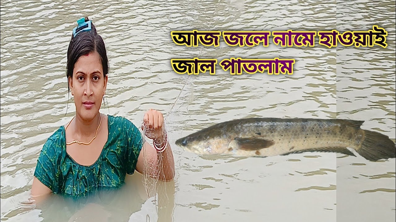 বর্ষার সময় খালে হাওয়াই জাল পেতে মাছ ধরলাম heavy rain day women net fishing best fishing