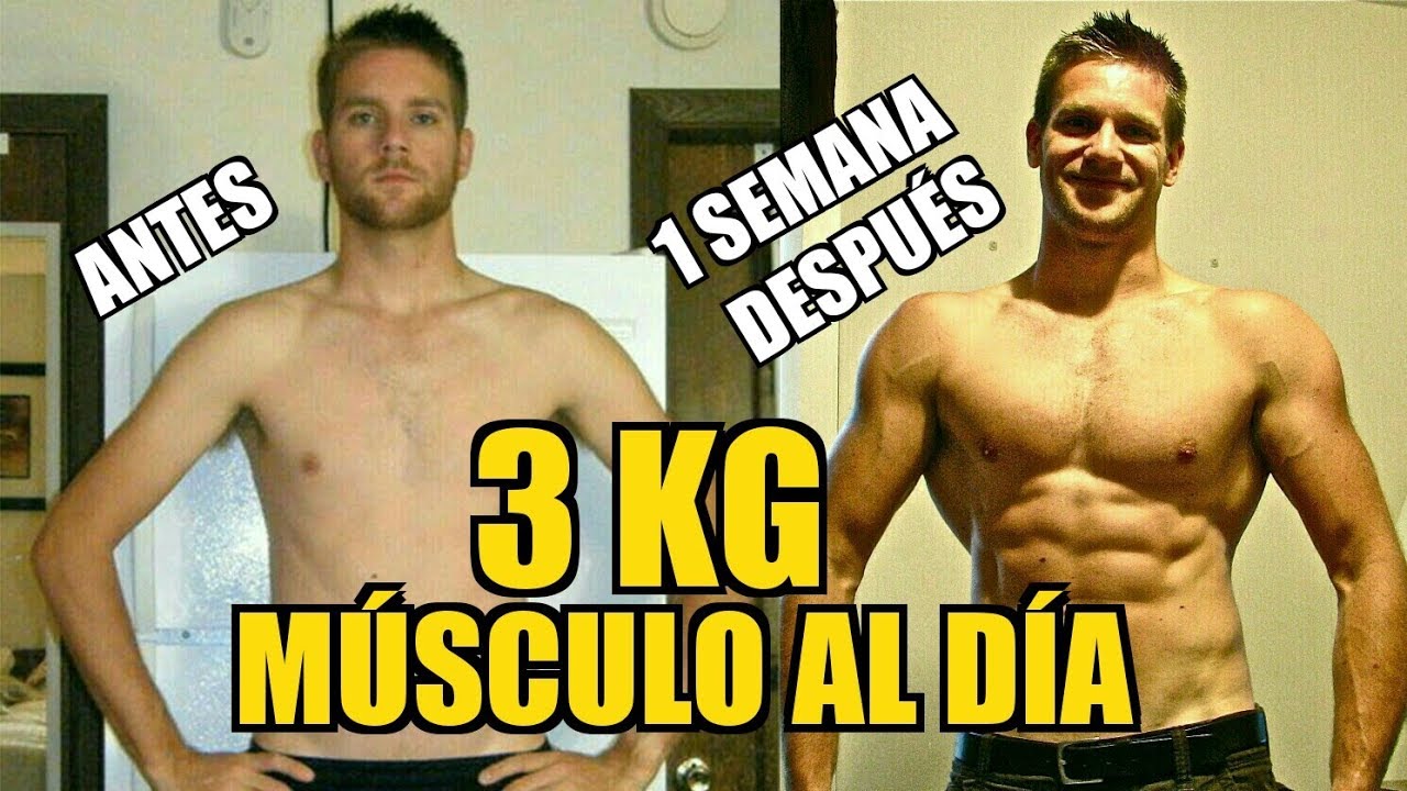 Ganar 3 kg de Músculo al Día: galleta de proteínas suplemento natural suplementos passo fundo